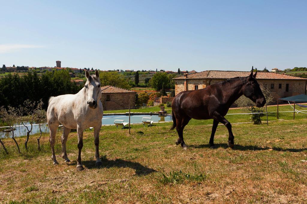 Agriturismo La Collina Pienza Kültér fotó