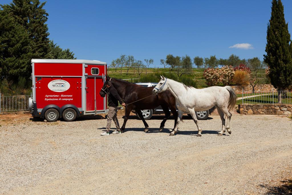 Agriturismo La Collina Pienza Kültér fotó