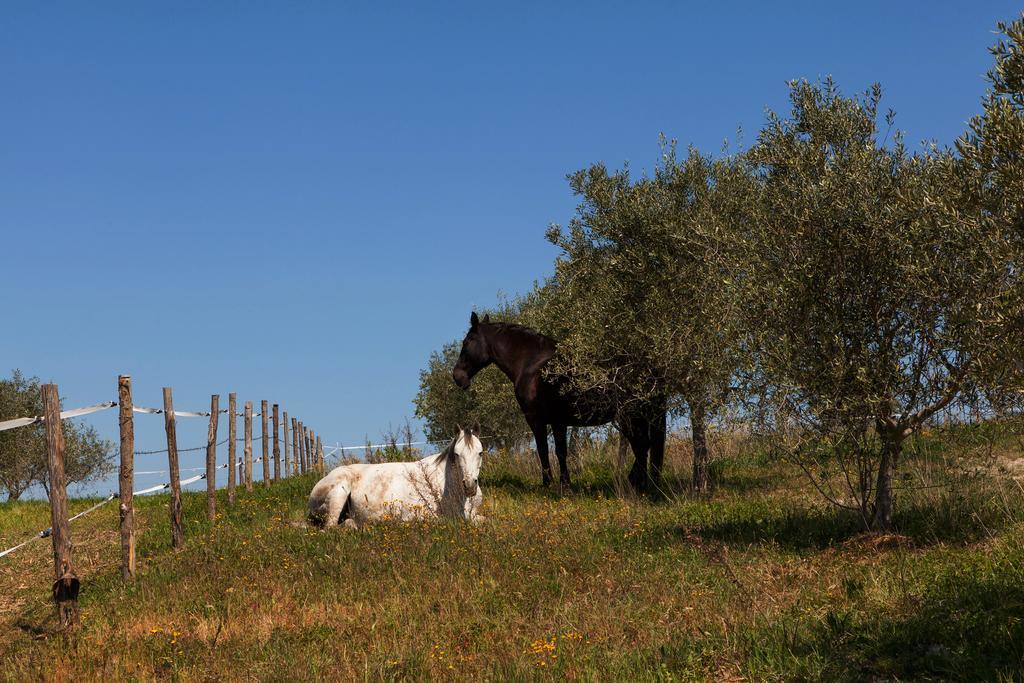 Agriturismo La Collina Pienza Kültér fotó